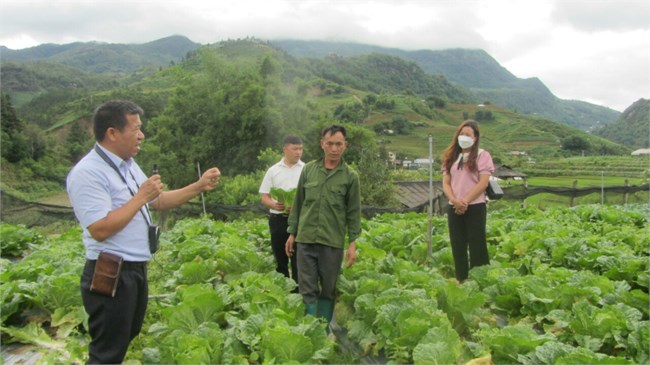 Làm gì để trồng và chăm sóc rau vụ Thu Đông hiệu quả (20/09/2022)